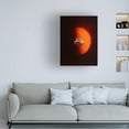 thumbnail image 2 of Trademark Fine Art spacerocket art  466 Canvas Wall Art, 2 of 4