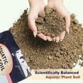 thumbnail image 2 of Aquatic Plant Soil & Aquarium Soil, Natural Organic Substrate for Water Plants - Safe for Fish, Nutrient-Rich Clay Base for Lotus & Water Lily (AquaticSoil, 3.3 LBS), 2 of 3