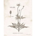 thumbnail image 2 of Flower Plate IV Poster Print by Gwendolyn Babbitt (11 x 14), 2 of 2