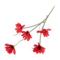 thumbnail image 1 of CSChome Artificial Flower Chamomile Bouquet – Realistic Looking Romantic 5 Forks 5 Heads Photography Prop, 1 of 7