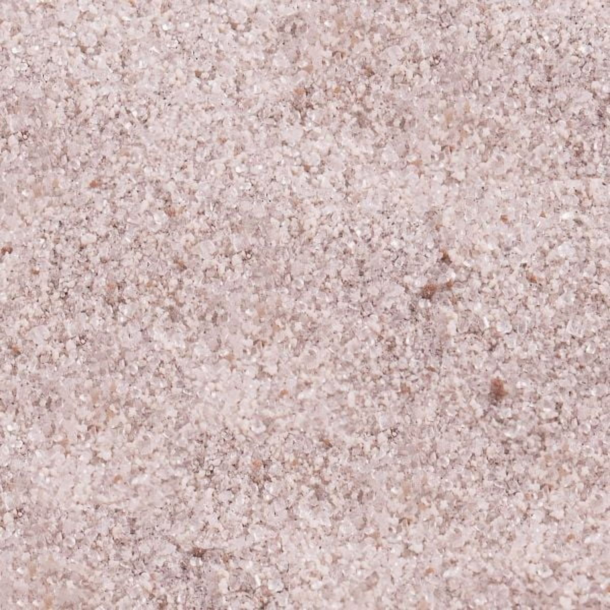 Tea Zone MilkTeaBLAST Okinawa Brown Sugar Powder (2.2 lbs)