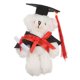 thumbnail image 1 of Oso de peluche de graduación, mini oso de graduación, peluche de graduación, oso de graduación, oso de peluche, letrero de oso de graduación, 1 of 7