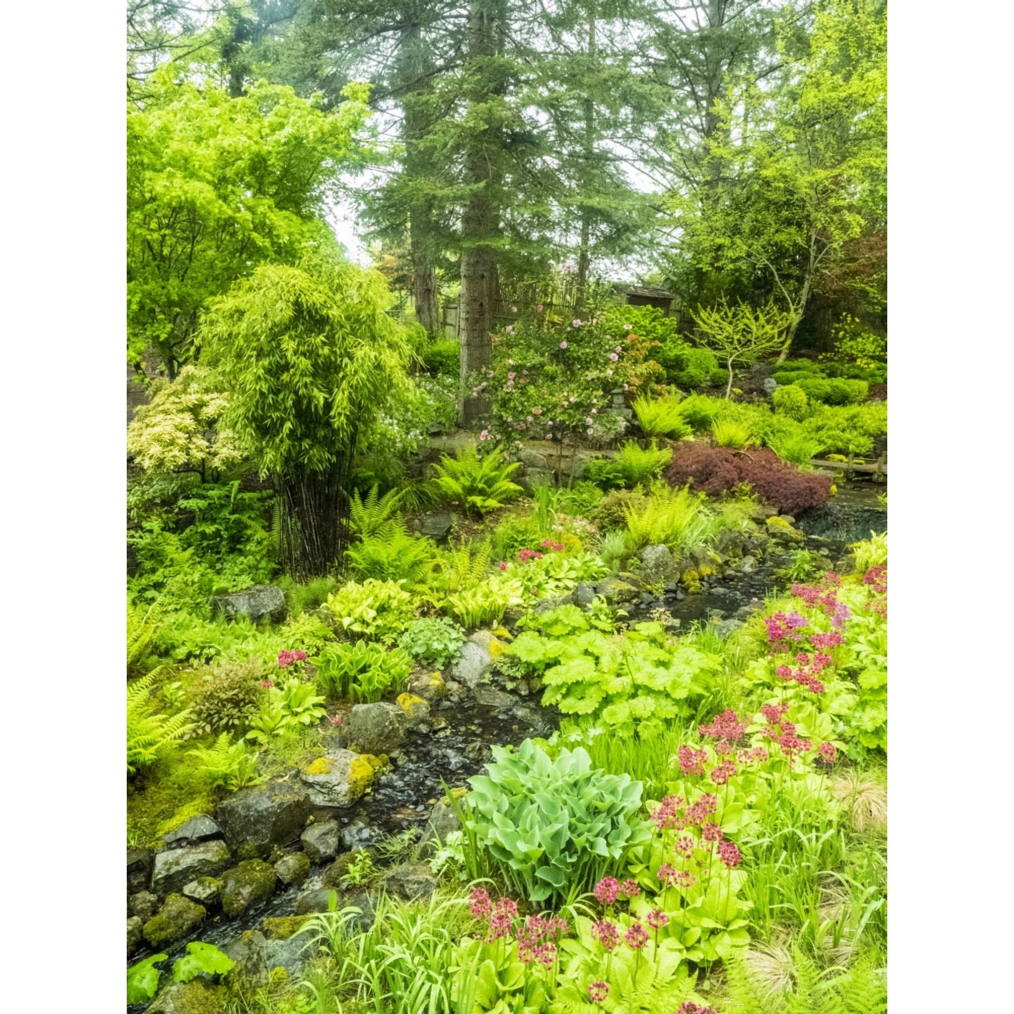 Japanese gardens and stream with bridge Poster Print by Sylvia Gulin (24 x 36)