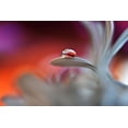thumbnail image 2 of Westum, Heidi 32x23 White Modern Wood Framed Museum Art Print Titled - Happy Colors, 2 of 4