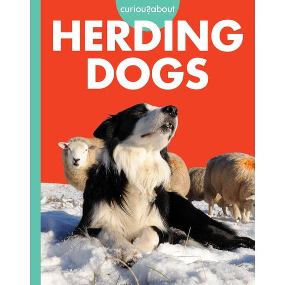 Curious about Working Dogs Curious about Herding Dogs, (Paperback)