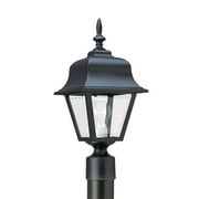 8255-12-Generation Lighting-Sea Gull Lighting-One Light Outdoor in Traditional Style-8 Inch wide by 18 Inch high