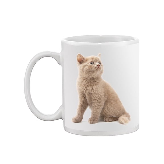 Sitting Kitten Looks Up Mug  -Image by Shutterstock,