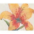 thumbnail image 2 of OToole, Tim 24x20 White Modern Wood Framed Museum Art Print Titled - Blooming Lily, 2 of 4
