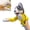 Husky, variant on Punching Puppet Animal Boxing Puppet, Shark Puppets Kung Fu Husky Gloves with Sound, 2026 New Interactive Hand Puppets, Funny Gifts for Small Dogs and Cats