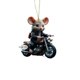 thumbnail image 2 of Lindo Colgante de Ratón, Amuleto Acrílico de Motocicleta, Diseño Colorido de Guitarra, Material Duradero para Uso Diario, Decoración para El Hogar y La Oficina, Idea de Regalo Única., 2 of 3