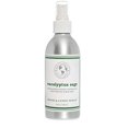 thumbnail image 1 of Eco Candle Co. Room & Linen Spray, Eucalyptus Sage, 8 oz. - Scents Of Eucalyptus, Sandalwood, Rosemary, & Sage - Recycled Aluminum Bottle, No Propellents, Pump Top, All Natural Ingredients, 1 of 4