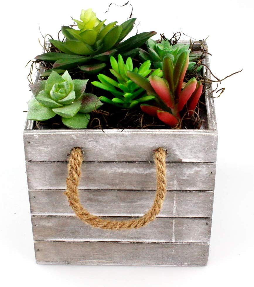 Download DIY Faux Succulent Planter Kit - Artificial Succulents ...