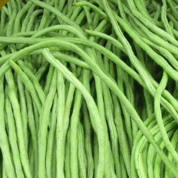 Everwilde Farms 1/4 Lb Organic Green Yard Long Bean Seeds Gold