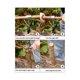 thumbnail image 5 of Herramienta de supervivencia para colonos Herramientas para manualidades Taladro de mano Ojo de madera Taladro de madera Clavija para hacer agujeros de mano Como se muestra, Como se muestra, 5 of 5