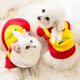 thumbnail image 1 of Dog Clothes Small Animals Dog Sweater Cute Cartoon Cat Two-Legged Pet Clothes Dog Clothing Pet Products A2 L, 1 of 5
