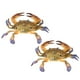 thumbnail image 3 of FELTECHELECTR 2 modelos de cangrejos de imitación, juguetes con forma de cangrejo, juguetes de cangrejos artificiales, 3 of 7