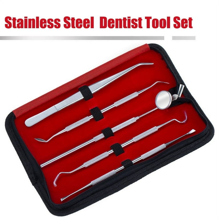 5 Pcs Dental Tools for Plaque Remover Teeth Cleaning Kit Stainless Steel  Hygiene Dentist Oral Care Kit with Storage Bag for Personal & Pet Care