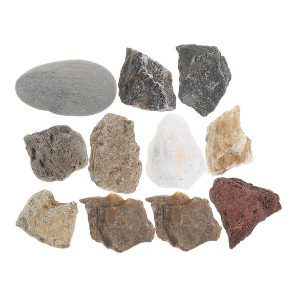 Miangastore Rock And Mineral Collection Stone Plastic 1 Set 5.1 In X 2.6 In X 0.8 In