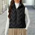 thumbnail image 2 of Kaondbfi Women's Outerwear Vests, Winter Lightweight Sleeveless Cotton Vest Jacket with Down Insulation Vest Winter Clothing for Women, 2 of 4