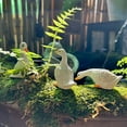 thumbnail image 5 of Cute White Duck Hydroponic Lotus Flower Pot Retro Resin Statue Outdoor Sculpture, 5 of 5