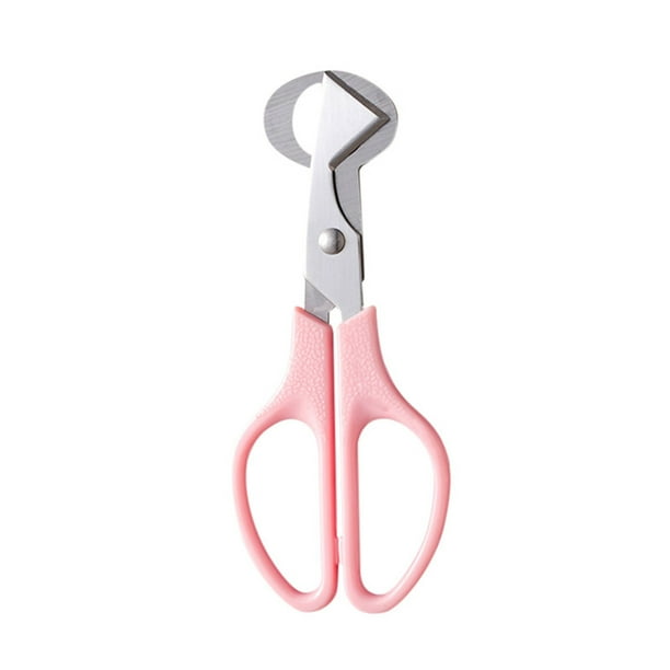 Fiudx Tijeras de Codorniz de Acero Inoxidable, Diseño de Corte Premium, Mango de Abs para Facilitar La Extracción Del Caparazón, Herramienta de Cocina Multifunción, Preparación de Huevos de Ave, Tama