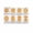 FRAMED12X18INCH(30X45CM), variant on Mitosis And Meiosis Cell Division Biology Art Poster Classroom Visual Study Guide (5) Canvas Painting Posters And Prints Wall Art for Living Room Bedroom Decor