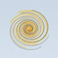 thumbnail image 2 of CafePress - Pi Swirl Long Sleeve Infant T Shirt - Long Sleeve Infant T-Shirt, 2 of 2