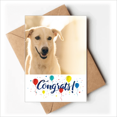 thumbnail image 1 of Sle White Dog Pet Picture Wedding Cards Congratulations Greeting Envelopes, 1 of 3