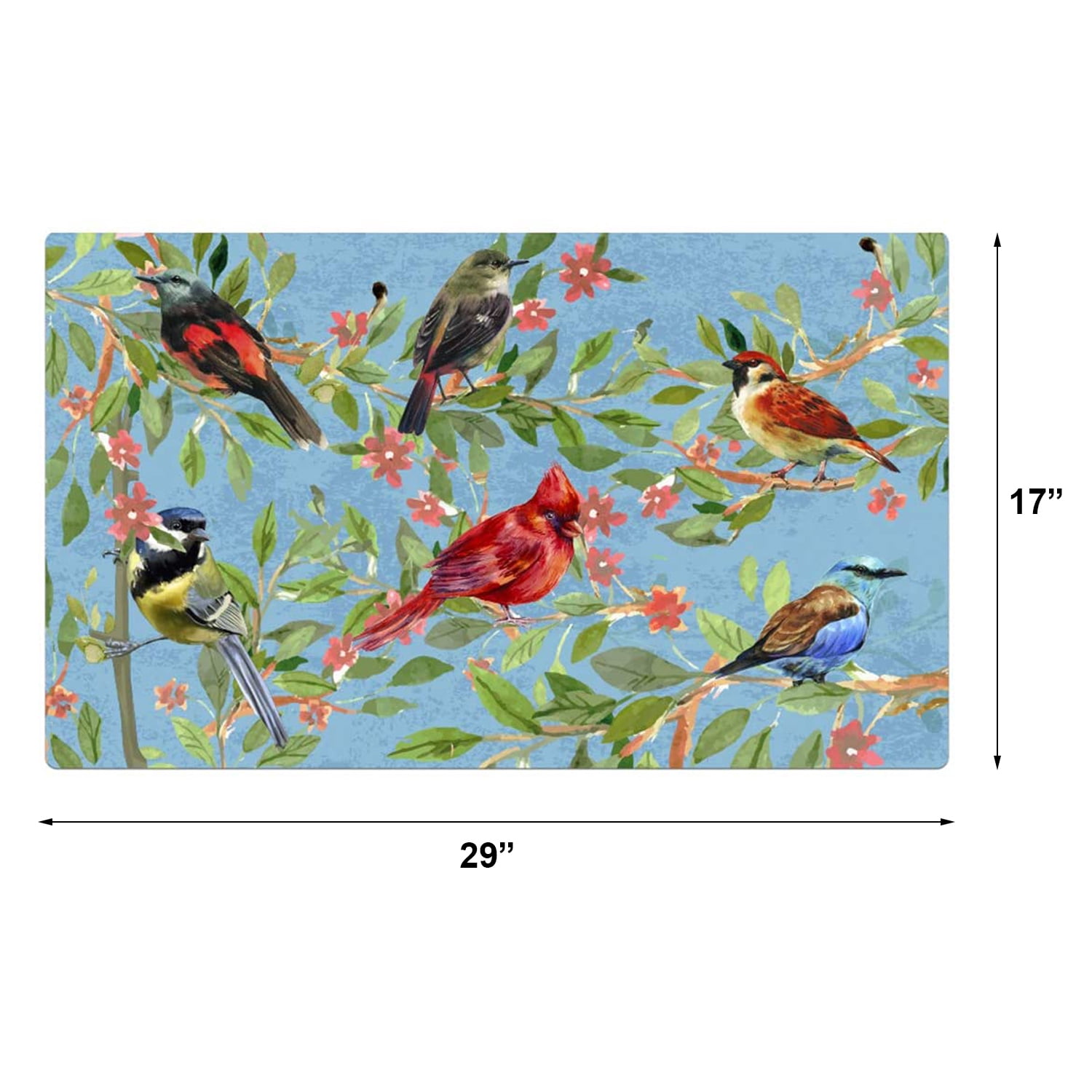 Welcome Doormat, Entrance Mat Floor Mat Rug for Indoor Outdoor Front Door with Non-Slip Rubber Backing