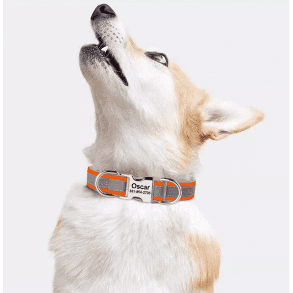 Bdor Pets Collar for Cat & Dog