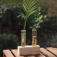 thumbnail image 1 of kurtrusly Glass Test Tube Vase Planter Plant Terrarium for Hydroponics Plants 2 Tubes, 1 of 7