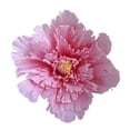 thumbnail image 2 of Large Simulated Peony Flower Wedding Fake Flower Display Props Linen, 2 of 7