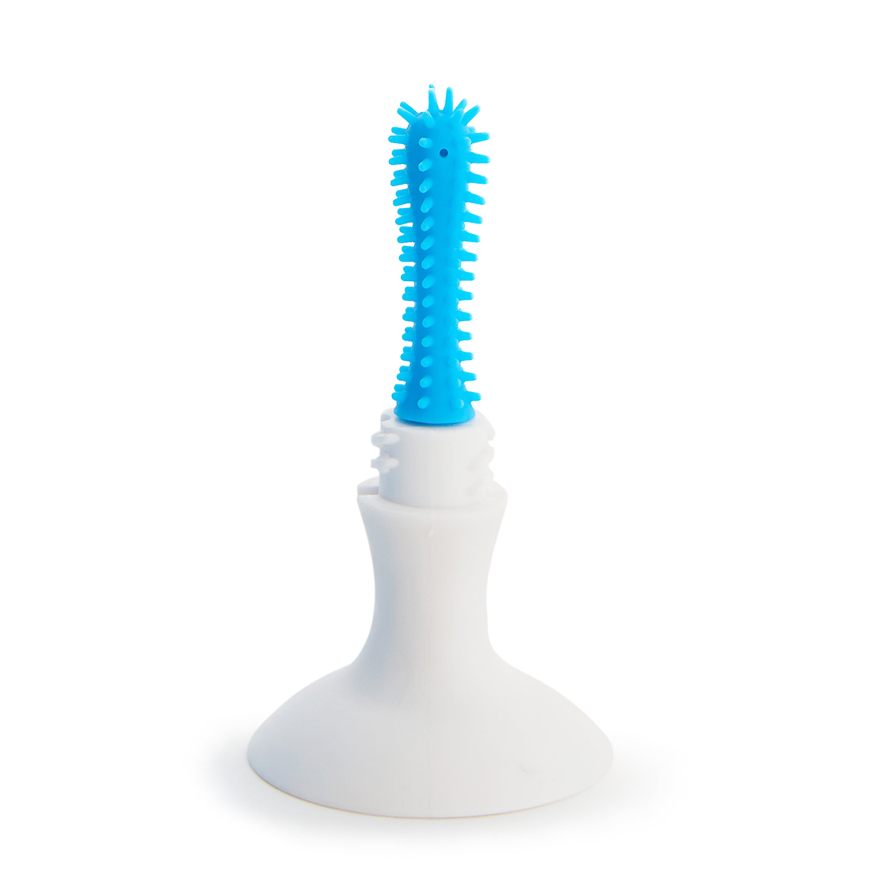 Munchkin Bristle Bottle Brush - Blue : Target