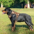 thumbnail image 2 of Arnés táctico para perros Beebiepet Heavy Duty para perros grandes, 2 of 5