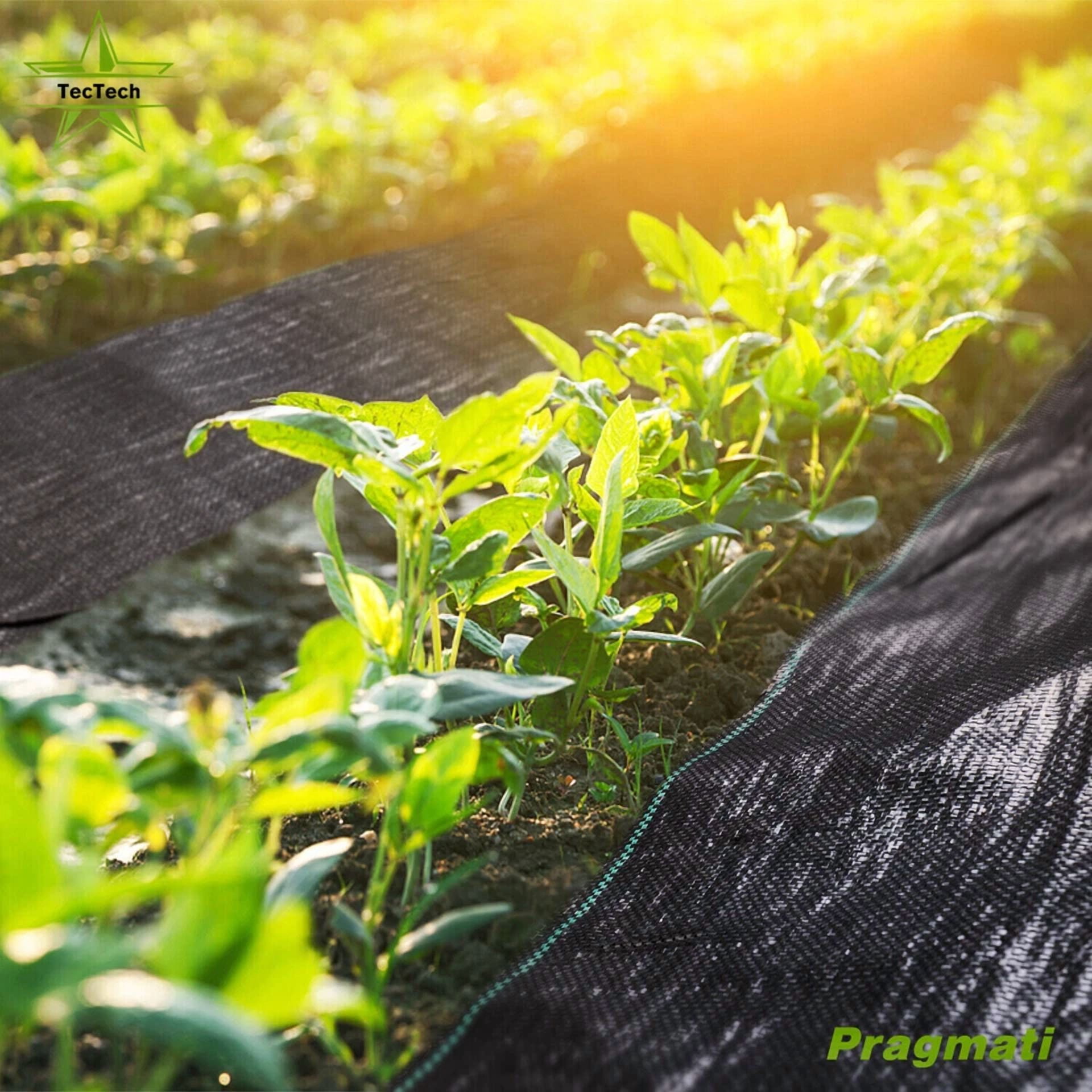 PURELY- 3×16 Feet Weed Barrier Garden Landscape Fabric Woven Ground Cover 3.2Oz