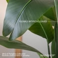 thumbnail image 4 of Maia Shop 7ft Bird of Paradise Artificial Plant, Fake Plants for Home Decor, 4 of 8