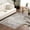 Pearl, Dark Brown, Brown / Ariana, variant on Hauteloom Holli Recycled Material Living Room, Bedroom Machine Washable Area Rug - Farmhouse - Beige, Slate Blue, Cream - 2' x 3'