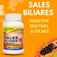 thumbnail image 3 of Suplemento Arymar Sales Bilis Bilis de buey con enzimas digestivas, 3 of 7