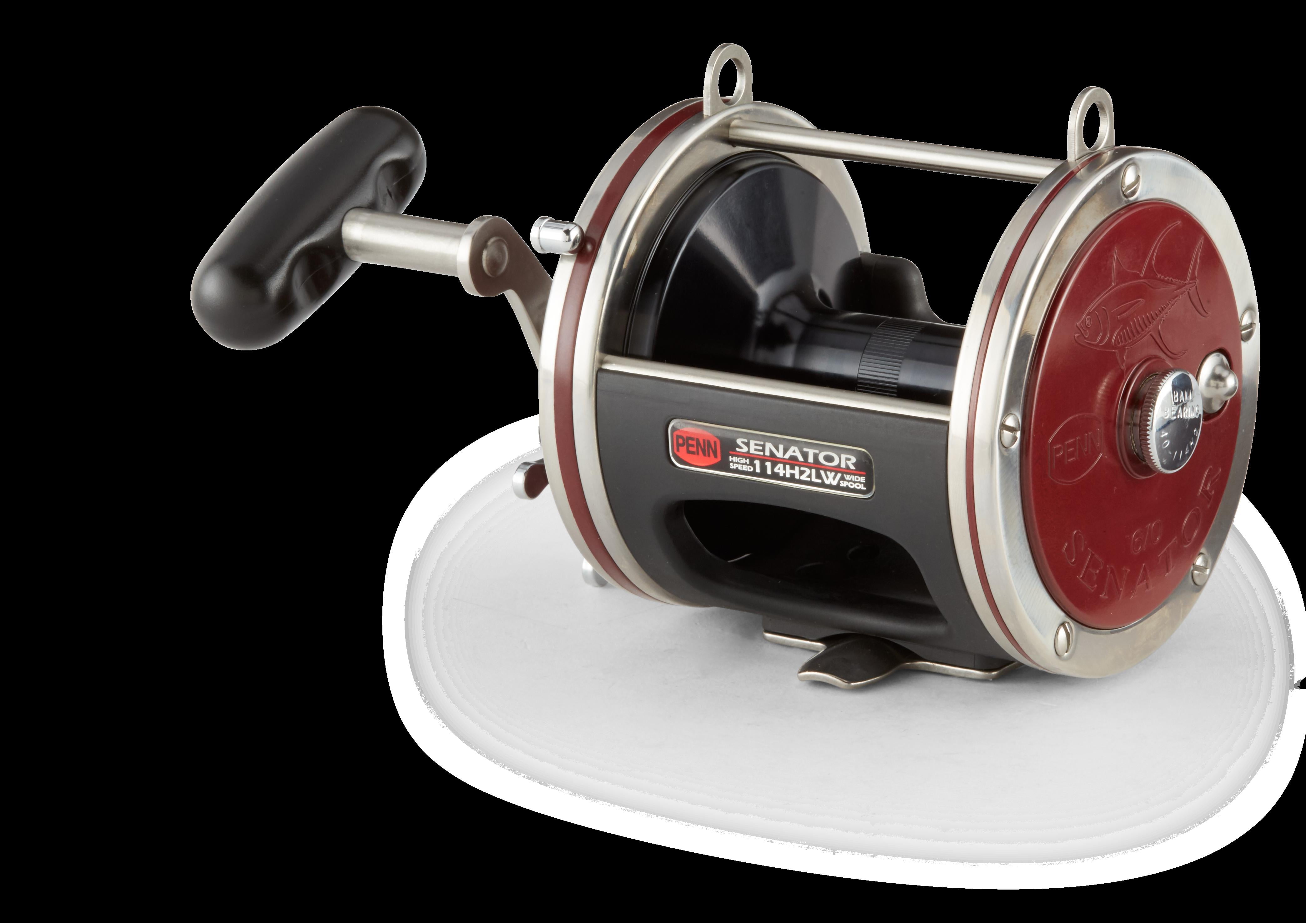 PENN Special Senator® Star Drag Reel, 114W Size Fishing Reel