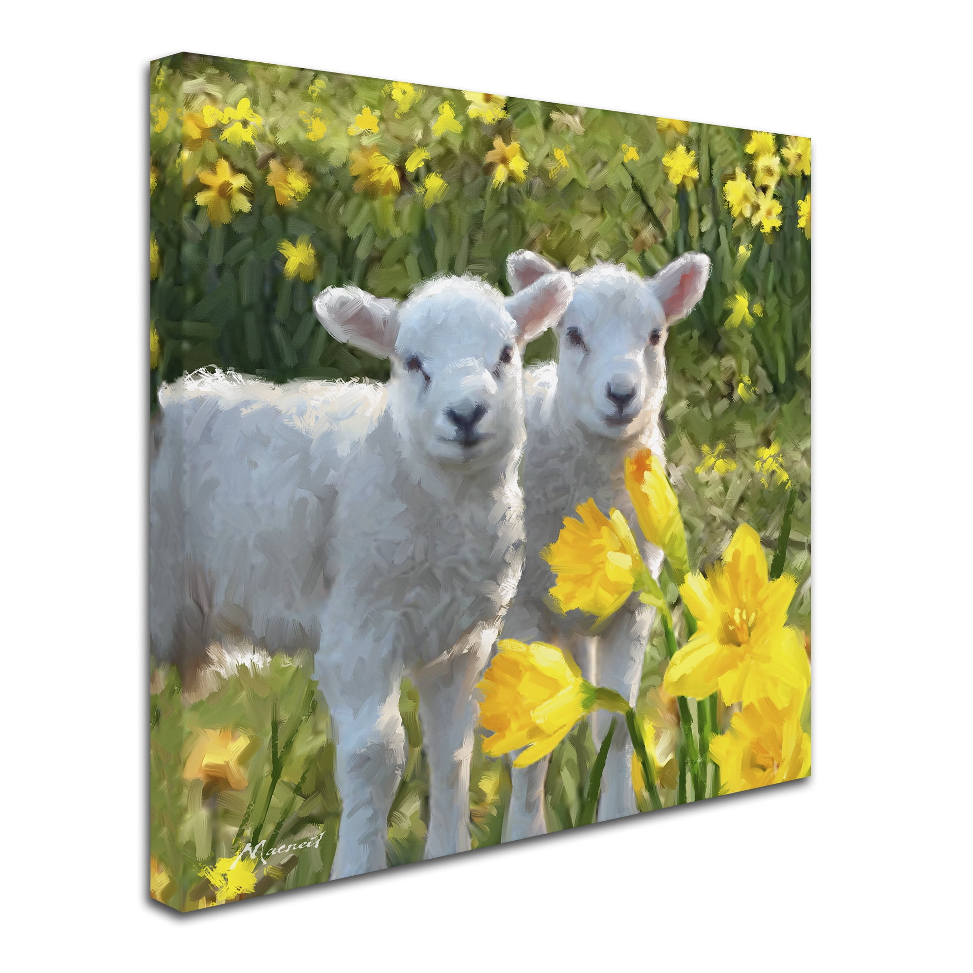 Trademark Fine Art 'Lambs' Canvas Art by The Macneil Studio