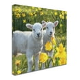 thumbnail image 2 of Trademark Fine Art 'Lambs' Canvas Art by The Macneil Studio, 2 of 3