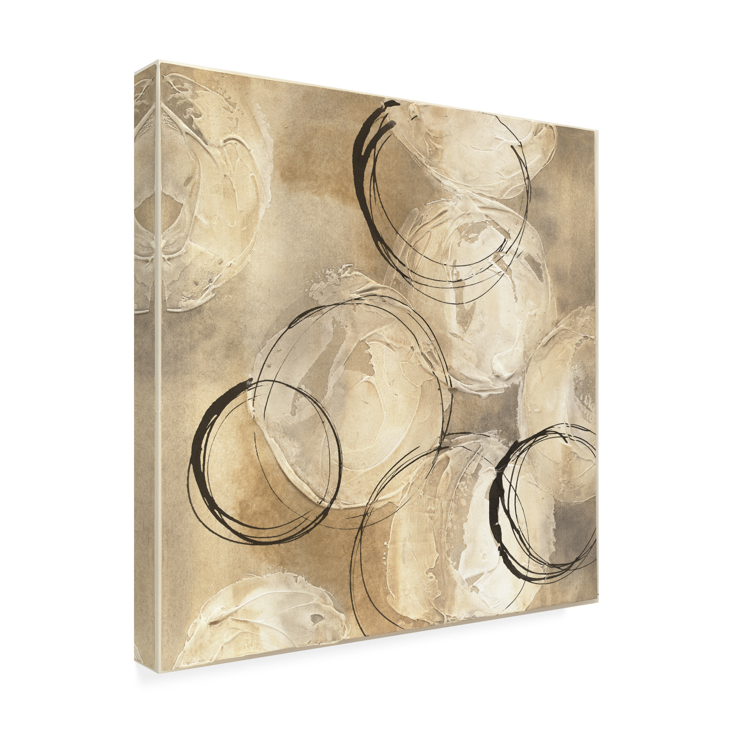 Trademark Fine Art 'Circle in a Square I' Canvas Art by Chris Paschke
