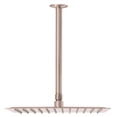 thumbnail image 1 of Regadera Riviera 12'' Satinada FOSET 45776 R-312N, 1 of 2
