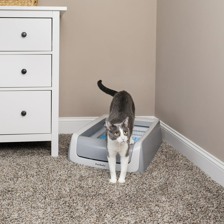 Self cleaning litter box at outlet walmart