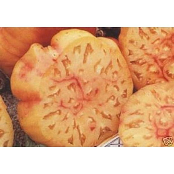 Tomato Mr. Stripey Great Heirloom Garden Vegetable - Bulk 1,200 Seeds