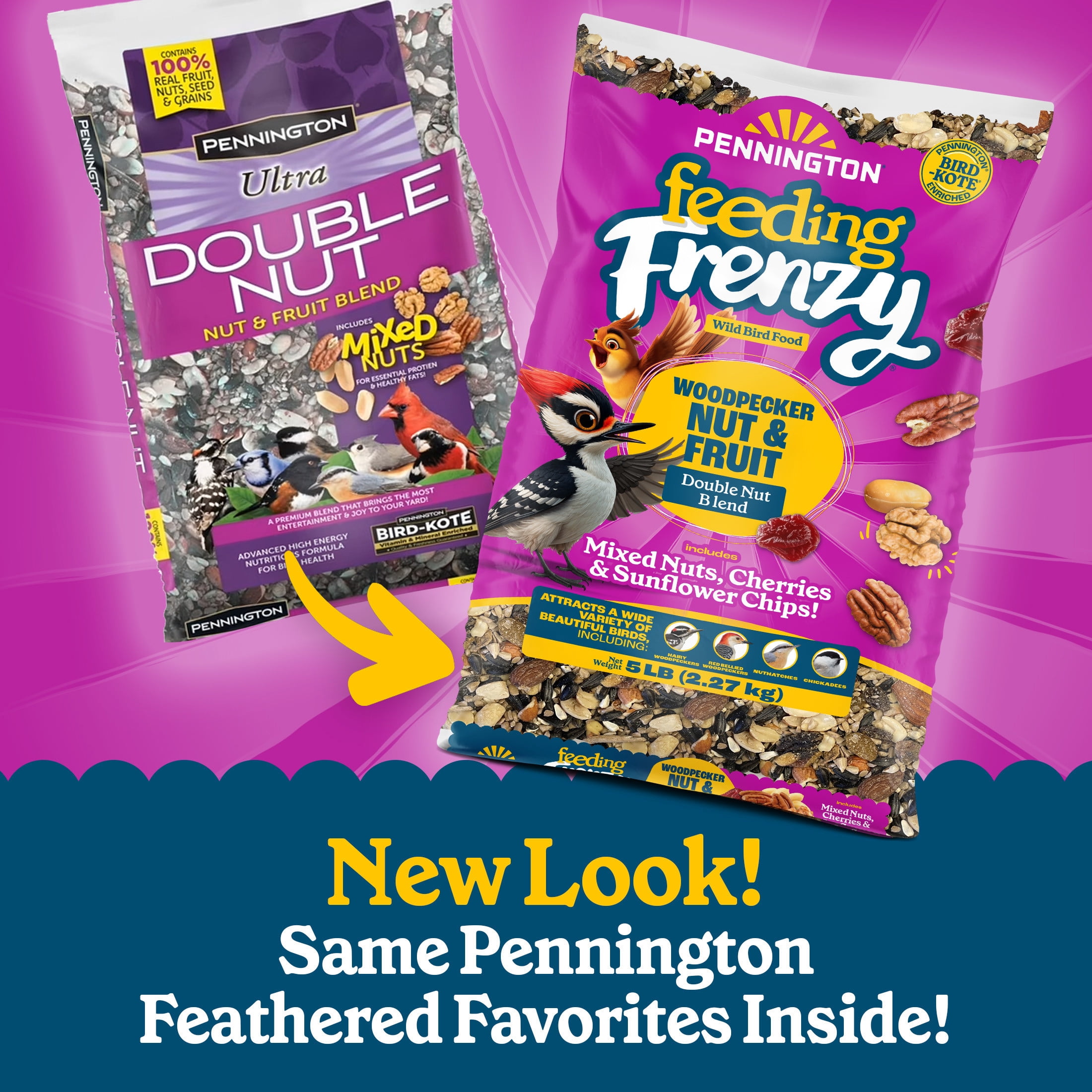 Pennington Feeding Frenzy Woodpecker Nut & Fruit Double Nut Blend Wild Bird Food, 5 Pounds