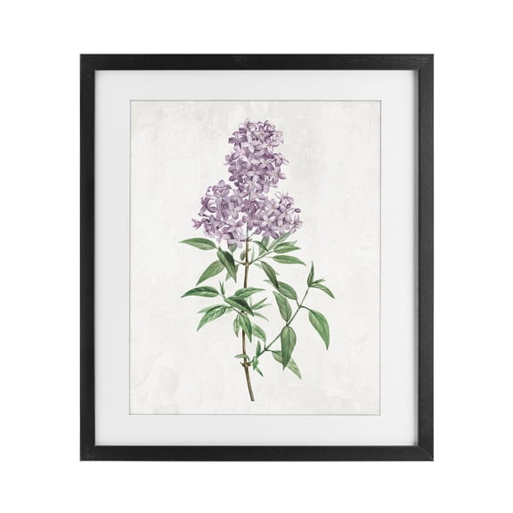 Stupell Industries Lilac Blossoms Blooms Black Framed Print Under Glass, design by Kim Allen
