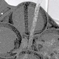 thumbnail image 4 of Non stick frying pan, egg and hamburger frying pan, 4-hole, 4 of 5