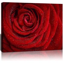 Flower Canvas Wall Art Dew on the Red Rose Pictures for Girls Room Home Decoration Modern Giclee Landscape Painting 12x16 in 1 Panel Stretched and Framed Ready to Hang