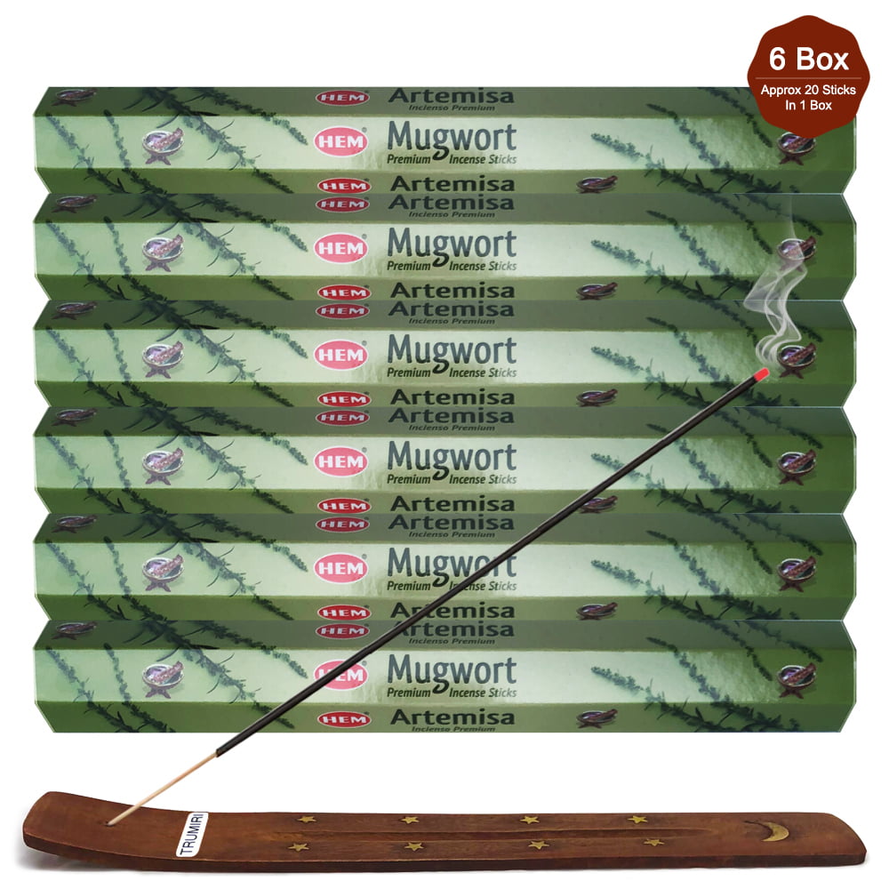 Hem Mugwort 20g Incense Sticks Box For Healing Yoga Relaxation Prayer